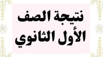 نتيجة الصف الأول الثانوي 2025 الترم الأول. رابط وخطوات الاستعلام فور إعلانها