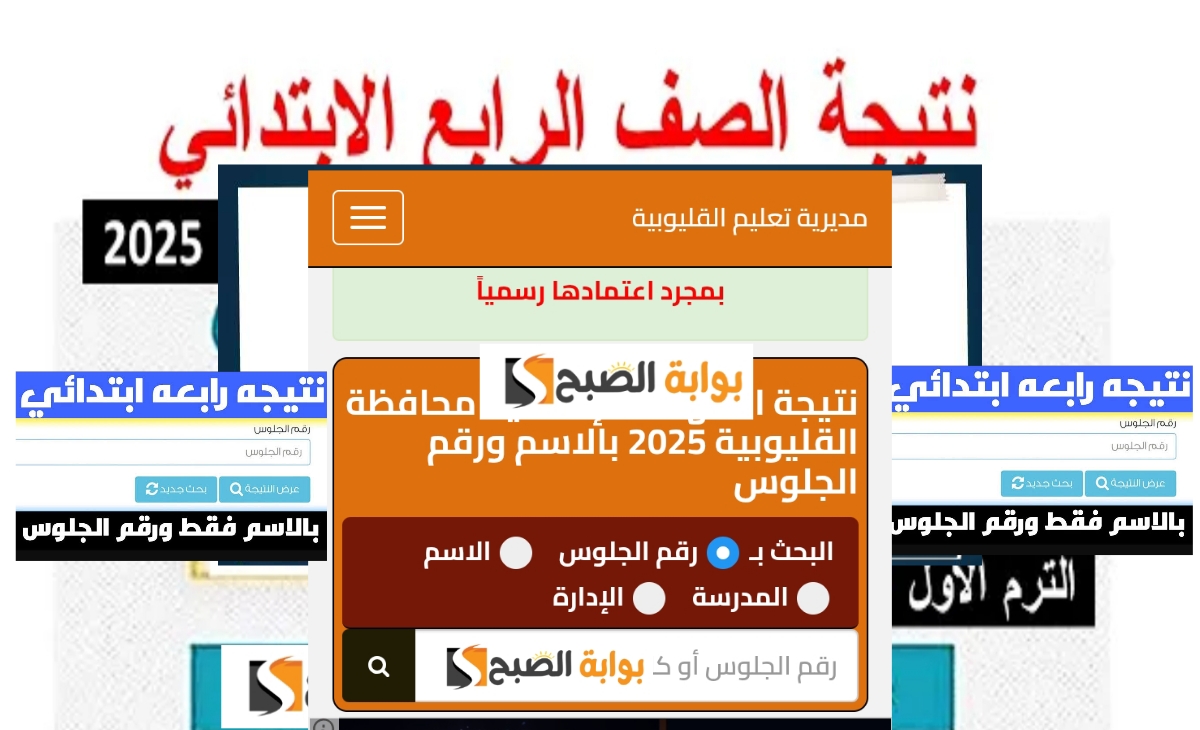 نتيجة سنة رابعة ابتدائى 2025 محافظة القليوبية الفصل الأول بالخطوات فور ظهورها