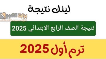 نتيجة الصف الرابع الابتدائي 2025 بالاسم فقط أو رقم الجلوس