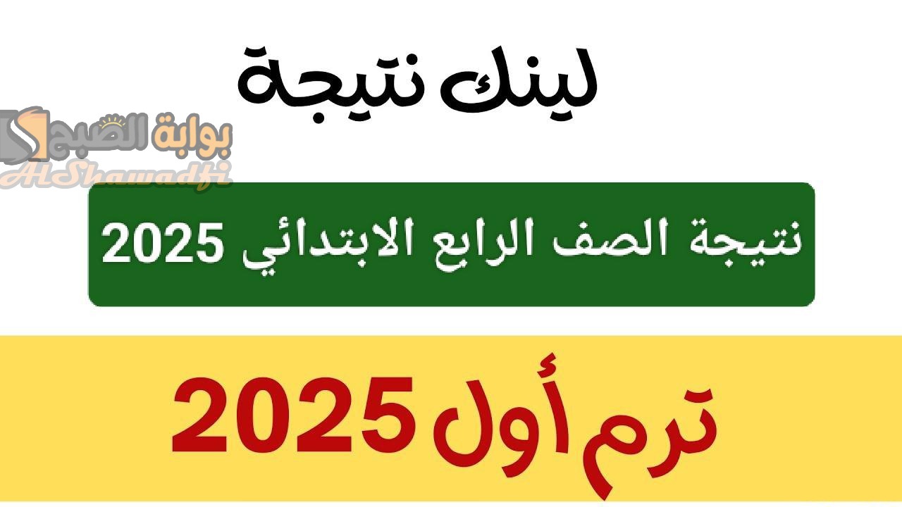 نتيجة الصف الرابع الابتدائي 2025 بالاسم فقط أو رقم الجلوس.. موعد ظهورها رسميًا عبر بوابة التعليم الأساسي