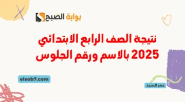 نتيجة الصف الرابع الابتدائي 2025 بالاسم ورقم الجلوس