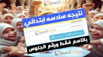 نتيجة الصف السادس الابتدائي 2025 3