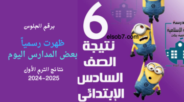 نتيجة الصف السادس الابتدائي 2025 برقم الجلوس والاسم الترم الاول