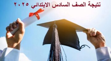 نتيجة الصف السادس الابتدائي