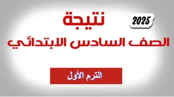 نتيجة الصف السادس الابتدائي برقم الجلوس والاسم 2025