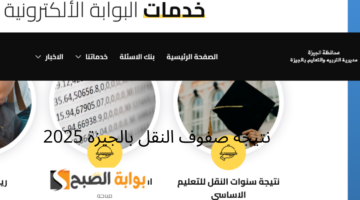 نتيجة صفوف النقل بالجيزة 2025