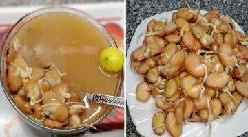 هتعملي أحلى شوربة من الفول النابت
