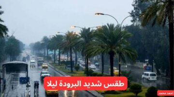 هيئة الأنواء الجوية حالة الطقس في العراق لهذا الأسبوع و طقس العراق اليوم