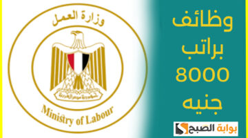 وزارة العمل تعلن عن وظائف