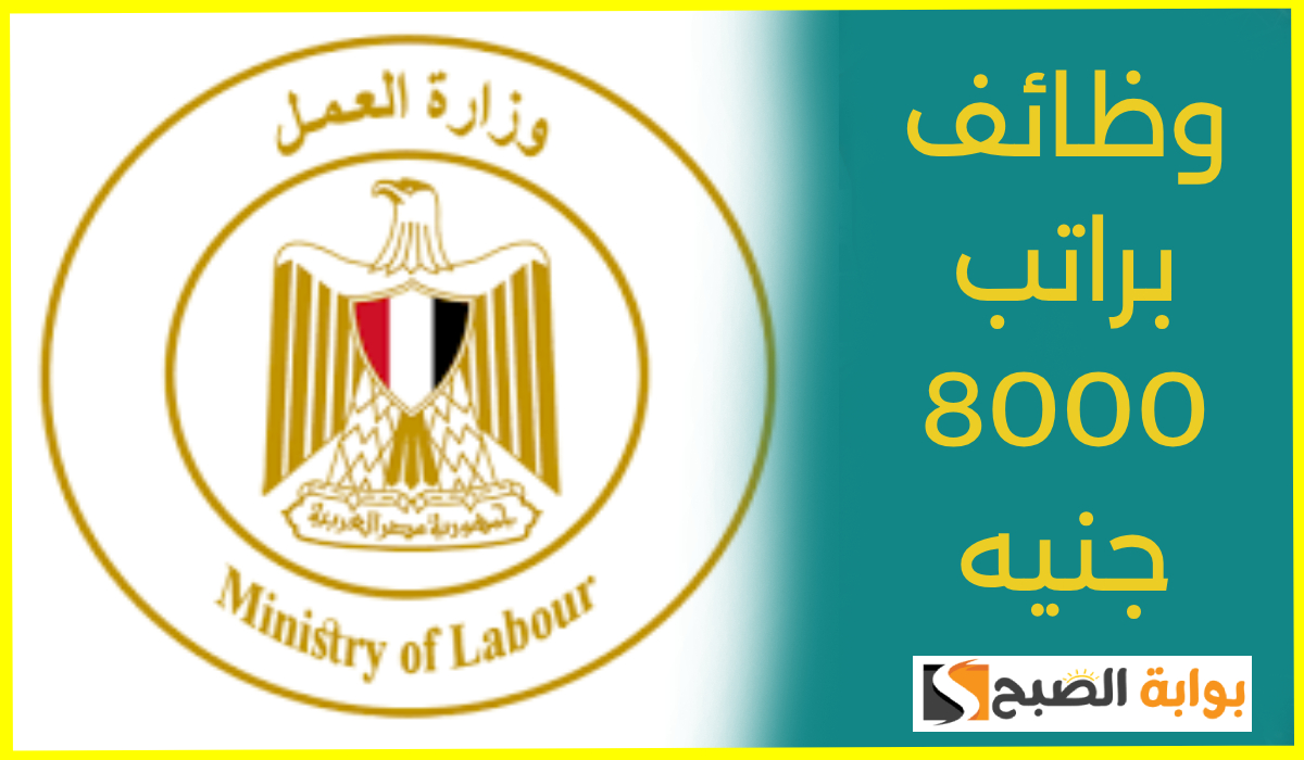 رسمياً.. وزارة العمل تعلن عن وظائف شاغرة براتب يصل إلى 8000 جنيه وتوضح الشروط 6 رسمياً.. وزارة العمل تعلن عن وظائف شاغرة براتب يصل إلى 8000 جنيه وتوضح الشروط
