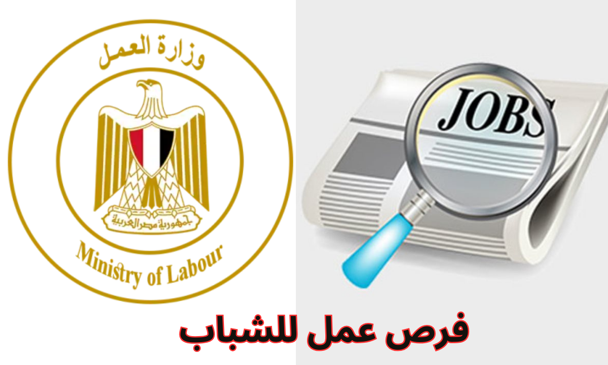 براتب يومي 450 جنيه.. وزارة العمل تعلن عن 2412 فرصة عمل للشباب بإحدى شركات المقاولات العاملة في العاصمة الإدارية الجديدة 5 براتب يومي 450 جنيه.. وزارة العمل تعلن عن 2412 فرصة عمل للشباب بإحدى شركات المقاولات العاملة في العاصمة الإدارية الجديدة
