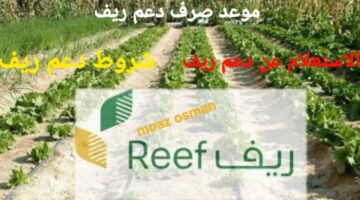 ٢٠٢٥٠١٠٣ ١٧٢١٢٥