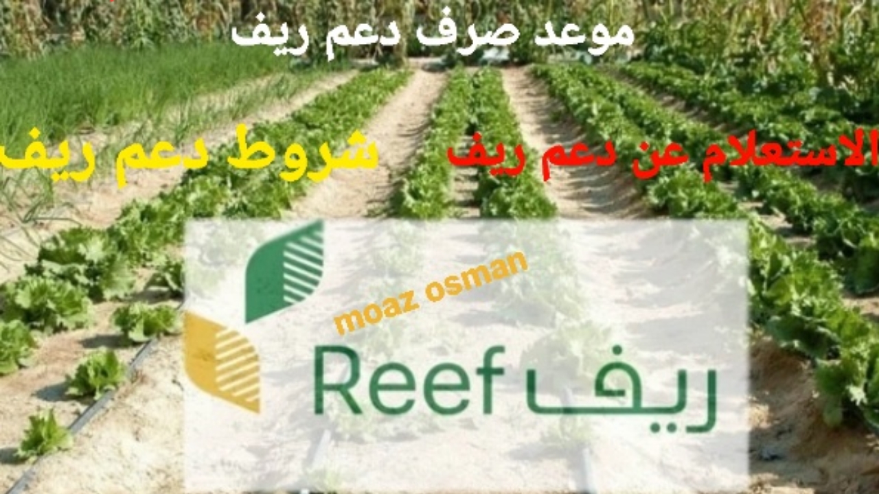 متى موعد صرف دعم ريف 1446دفعة شهر يناير .. وما هي طريقة التسجيل في البرنامج؟ 5 متى موعد صرف دعم ريف 1446دفعة شهر يناير .. وما هي طريقة التسجيل في البرنامج؟