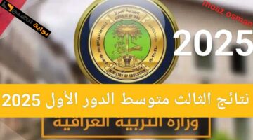 ٢٠٢٥٠١٢٧ ١٩٢٨٠٧