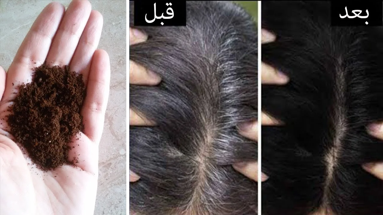 مش هتروحي لكوافير نهائيا.. المكون السحري للتخلص من شيب الشعر بدون صبغات وبطريقة طبيعية
