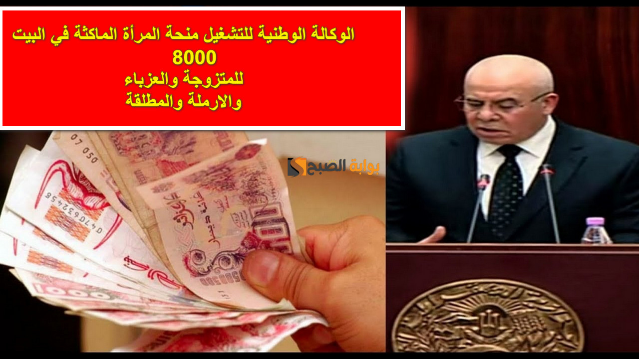 8000 دج.. رابط الوكالة الوطنية للتشغيل منحة المرأة الماكثة في البيت 2025 للمتزوجة والمطلقة والأرملة والعزباء