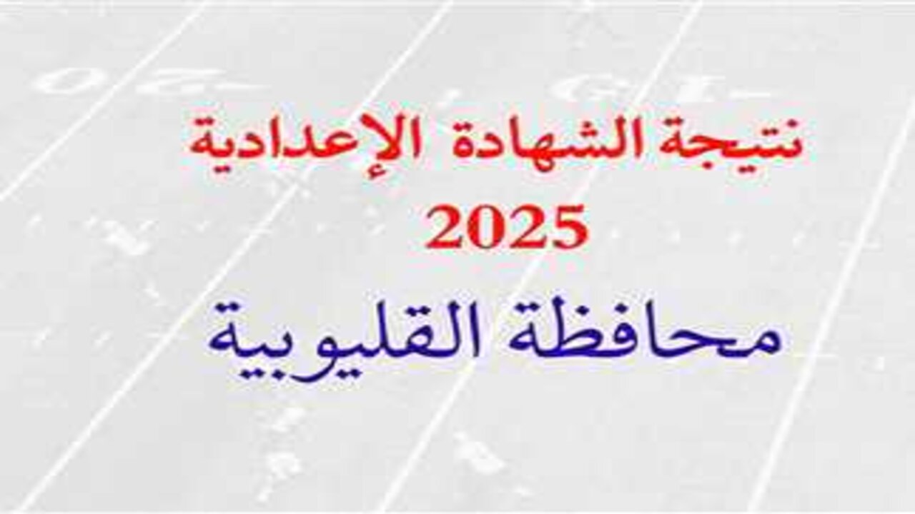 رابط مباشر وسريع.. رابط نتيجة تالتة أعدادي الترم الأول محافظة القليوبية 2025 فور الإعلان عنها رسميا 2 رابط مباشر وسريع.. رابط نتيجة تالتة أعدادي الترم الأول محافظة القليوبية 2025 فور الإعلان عنها رسميا