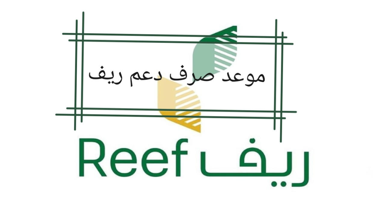 لجميع المستفيدين.. موعد صرف دعم ريف لشهر فبراير 2025 وهذه خطوات الاستعلام عن الدفعة