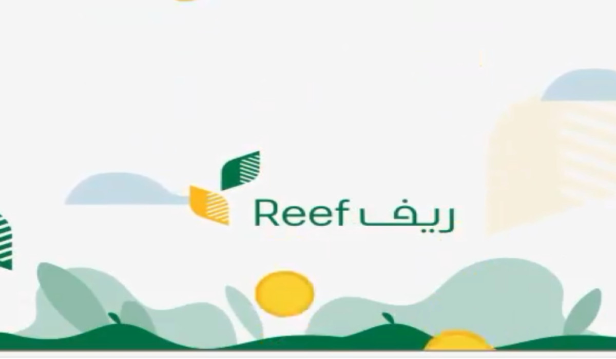 كن على اطلاع.. كيفية الاستعلام عن أهلية دعم ريف 2025 وموعد صدور نتائج الأهلية