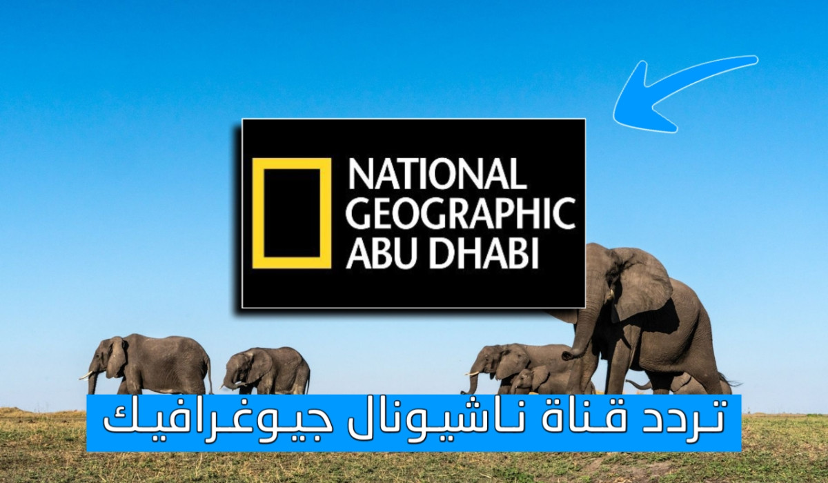 ما هو تردد قناة National Geographic Abu Dhabi على النايل سات وعرب سات 2025؟ 5 ما هو تردد قناة National Geographic Abu Dhabi على النايل سات وعرب سات 2025؟
