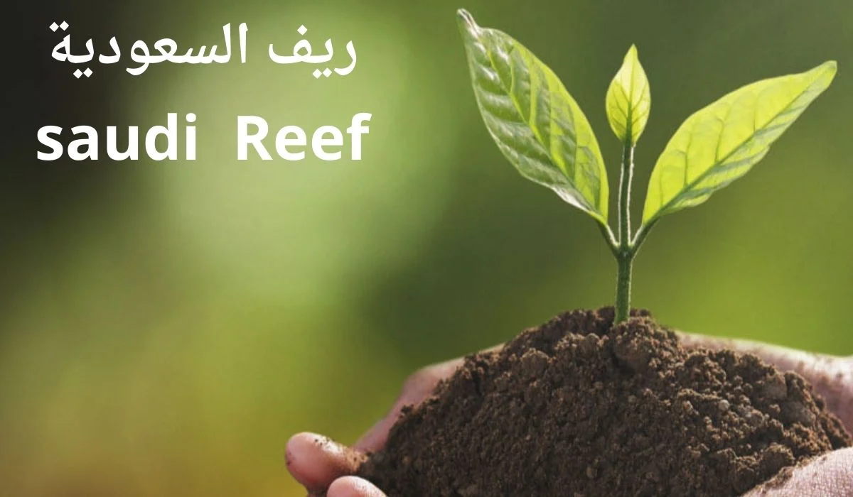 كيفية التواصل مع برنامج دعم ريف 1446؟ 2 كيفية التواصل مع برنامج دعم ريف 1446؟