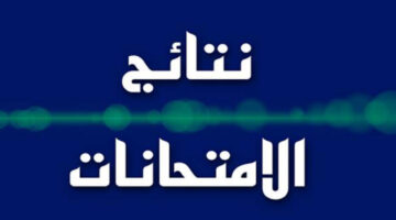 IMG 2025 02 03 213501
