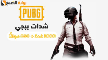 IMG 2025 02 19 204009