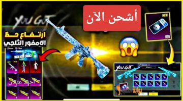 IMG ٢٠٢٥٠٢٠١ ٢١٠٤٣١
