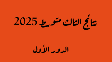 IMG ٢٠٢٥٠٢٠٧ ٠٠١٦٤٠