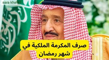 IMG ٢٠٢٥٠٢٢٤ ١٣٣٣٣٨