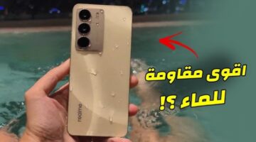 IMG ٢٠٢٥٠٢٢٦ ١٥٠٢٤٤