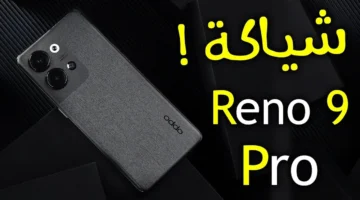 Oppo Reno 9 Pro 1