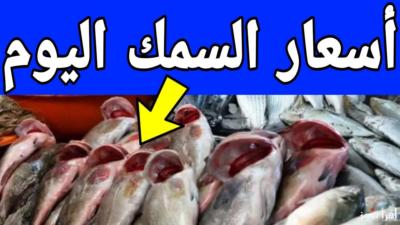 بكام النهاردة.. اسعار السمك اليوم الجمعة 14 فبراير 2025 في الأسواق المصرية