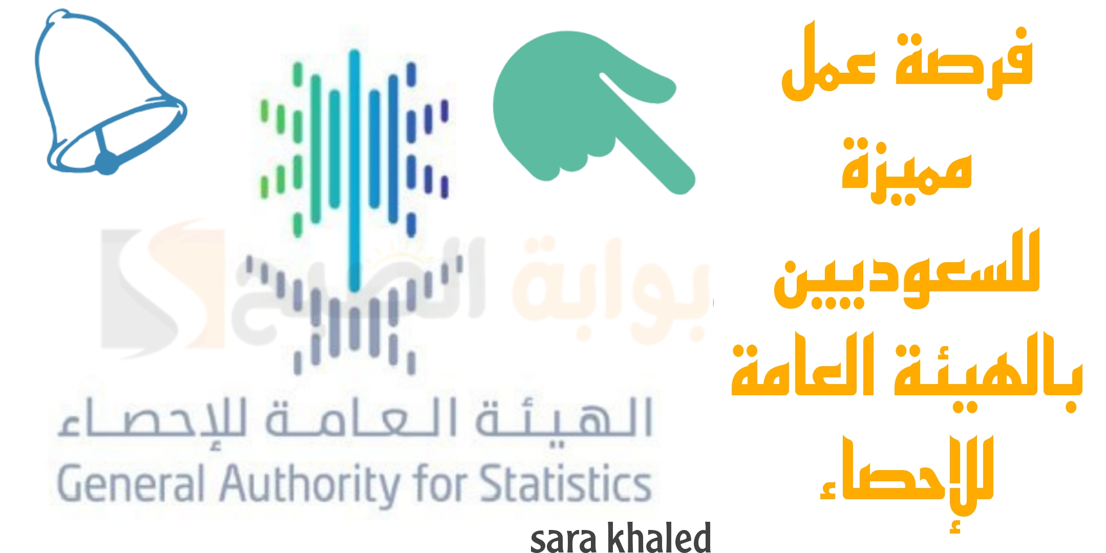فرصة عمل للسعوديين.. الهيئة العامة للإحصاء توفر وظيفة سكرتير تنفيذي للرجال والنساء بدون خبرة وشروط بسيطة.. تفاصيل هامة