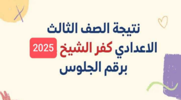 T401738661558048