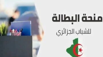 Wassitonline anem dz تمديد منحة البطالة