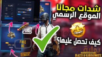 hidysaad