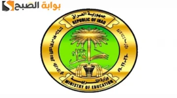 image ٩١٣