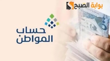 image ٩٦٦