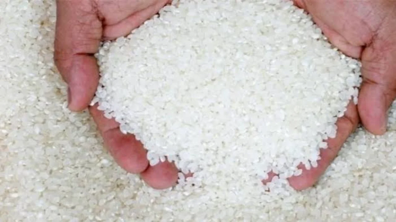 “مفاجآت جديدة للتجار والمستهلكين” سعر طن الأرز الشعير اليوم الأربعاء 26 فبراير 2025 في الأسواق المصرية.. مع دخول رمضان 