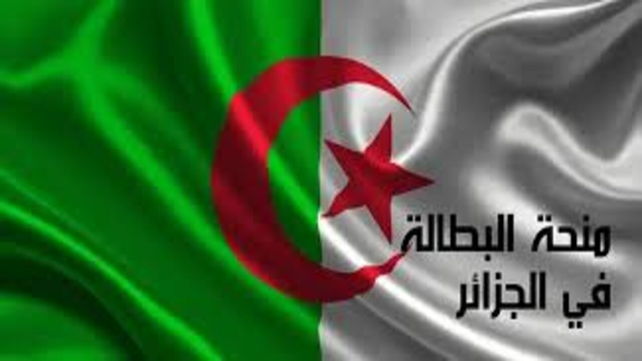 الخطوات بالتفصيل.. تجديد منحة البطالة 2025من خلال الموقع الرسمي للوكالة الوطنية للتشغيل | برابط الدخول والأوراق المطلوبة