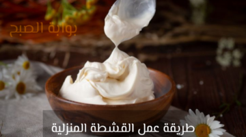 img 1739008160507