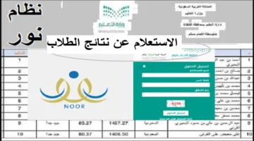 noor.moe .gov .sa . الاستعلام عن نتائج الطلاب برقم الهوية 1445 الفصل الثالث الدراسي عبر نظام نور 1