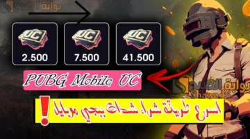 أسرع طريقة شراء شدات ببجي موبايل 2025 PUBG UC من الموقع الرسمي. أدخل الـID واشحن آلاف الشدات