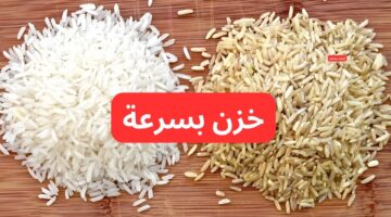 أسعار الأرز الشعير اليوم الاثنين 24 2 2025