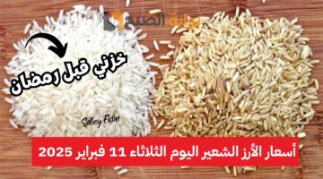 أسعار الأرز الشعير اليوم الثلاثاء 11 فبراير 2025