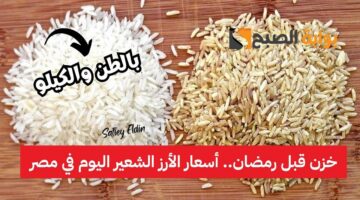 أسعار الأرز الشعير اليوم في مصر