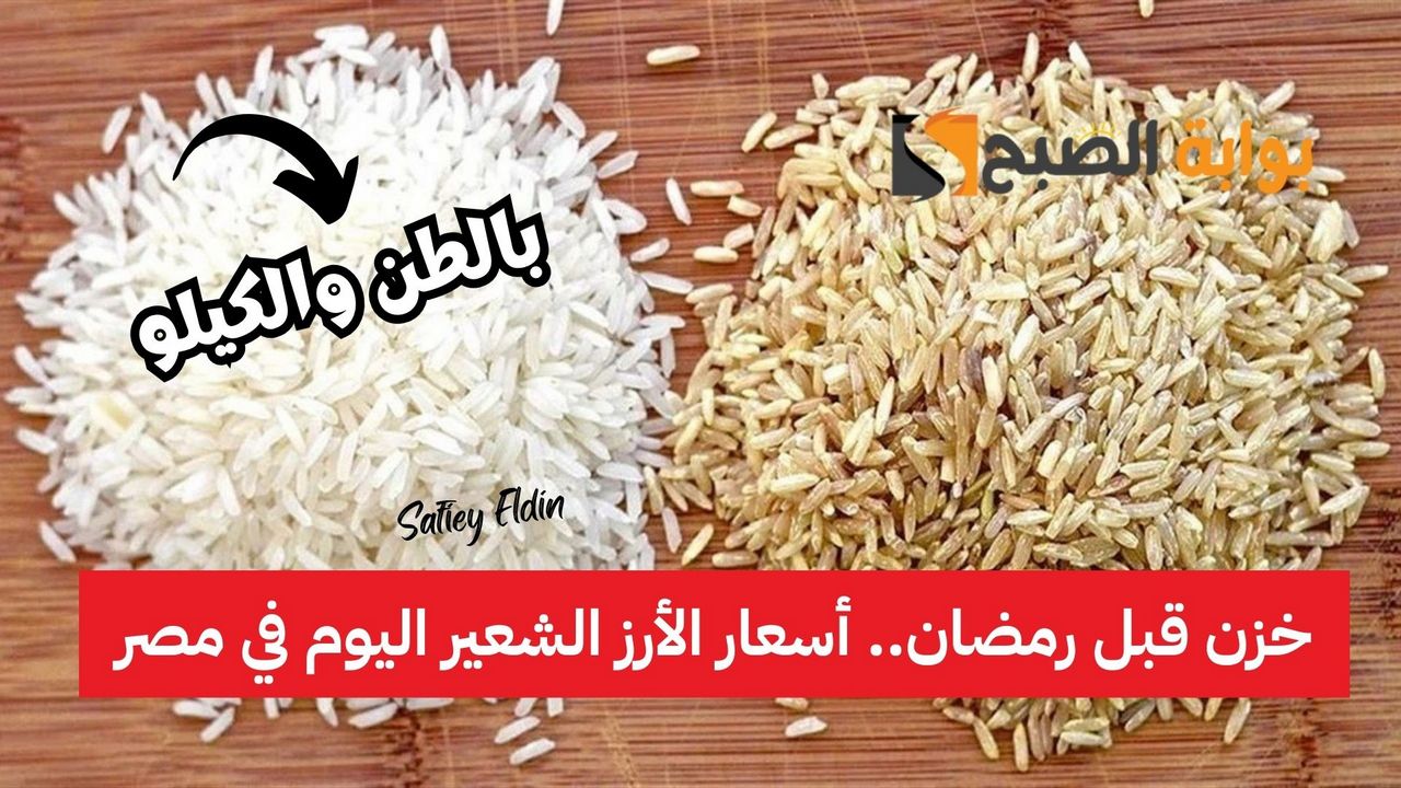 للتخزين قبل رمضان.. أسعار الأرز الشعير اليوم في مصر 17 فبراير 2025 بالطن والكيلو