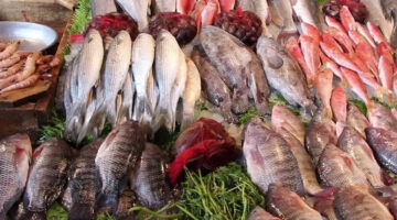 أسعار الاسماك في سوق العبور اليوم1
