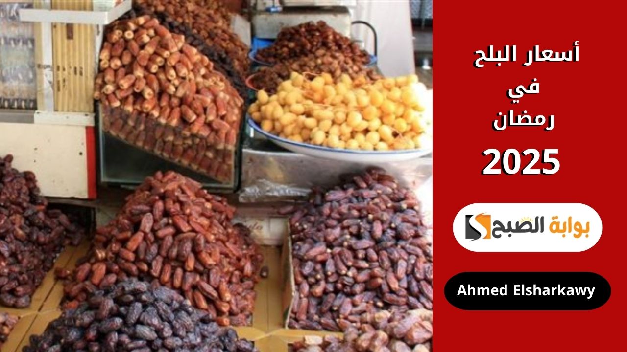 “اهلا رمضان” أسعار البلح في رمضان 2025 .. كيلو العجوة بيبدأ من 49 جنيه